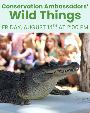 SLT - Conservation A